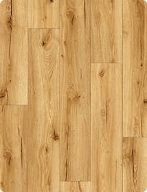 HydroStone Timeless Oak · Plank