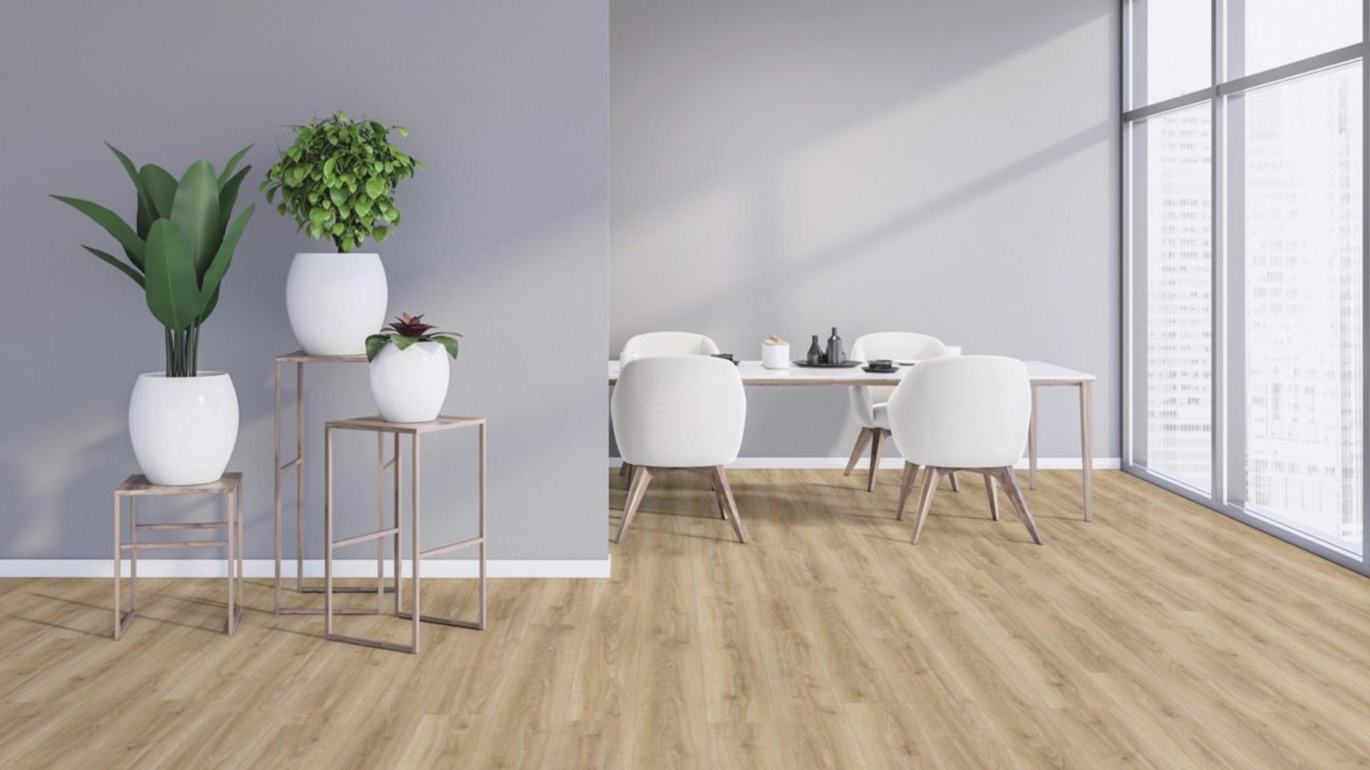 Kaindl Oak Cordoba Crema